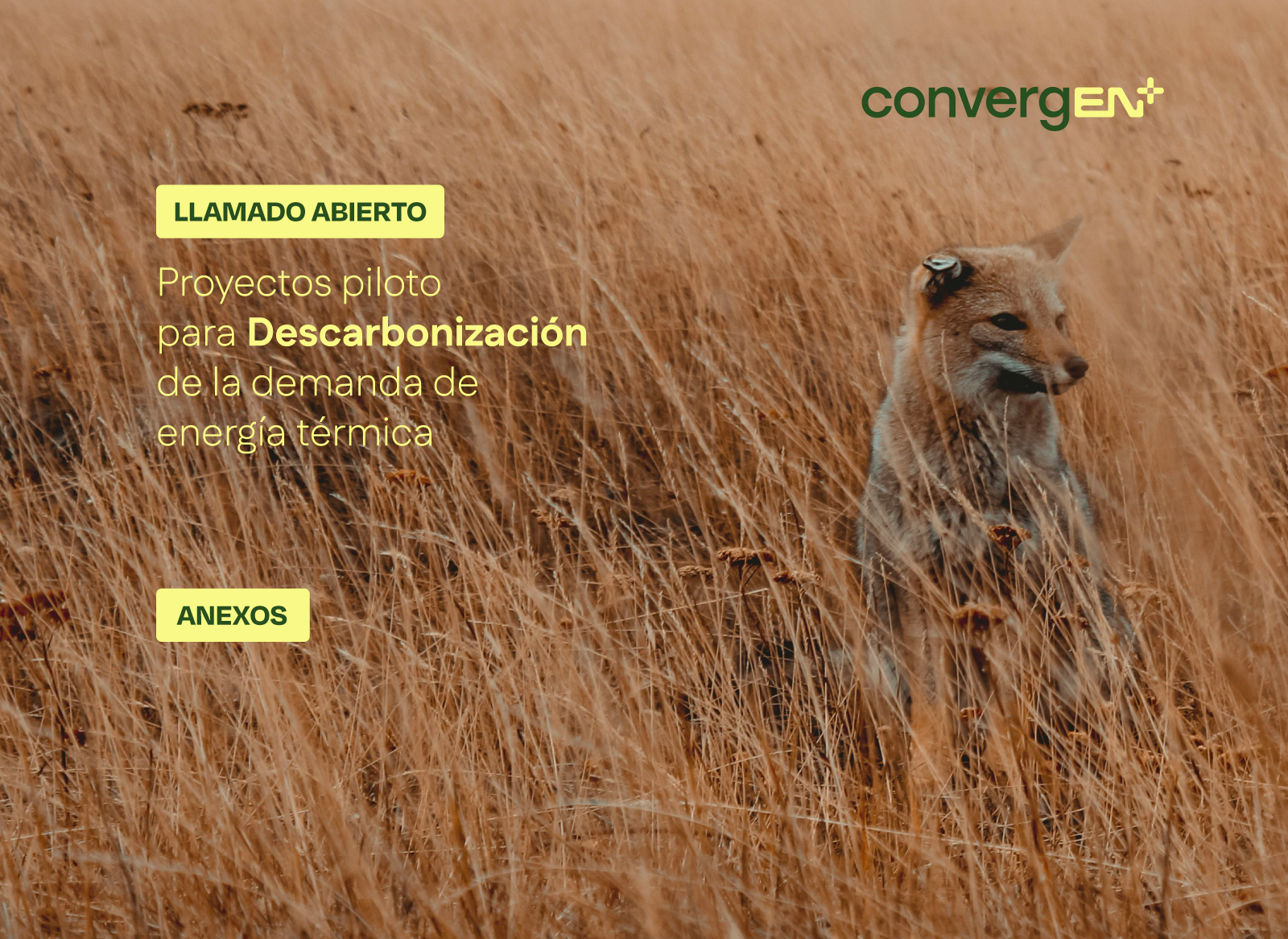 Anexos de Llamado abierto para Proyectos piloto de ConvergEN+