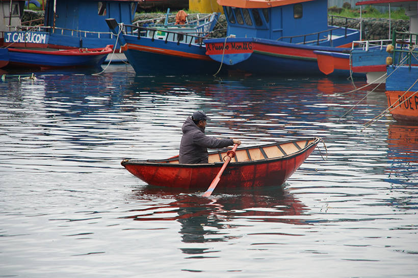 Caletas Sustentables es reconocida por Naciones Unidas como Endorsed Ocean Decade Action