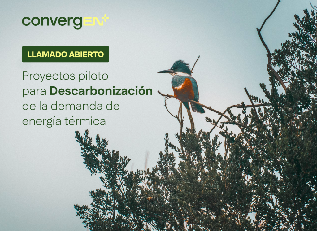 Bases Llamado abierto a Proyectos pilotos ConvergEN+