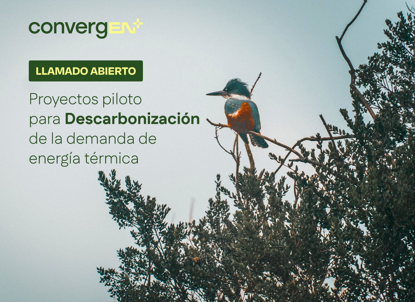 Bases Llamado abierto a Proyectos pilotos ConvergEN+