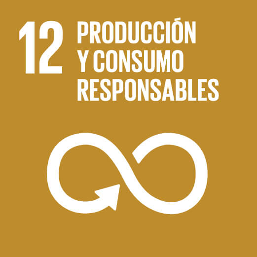 12.Producción y Consumo Responsables