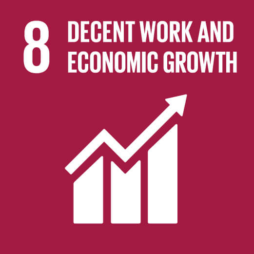 8. Decent work and economic growth