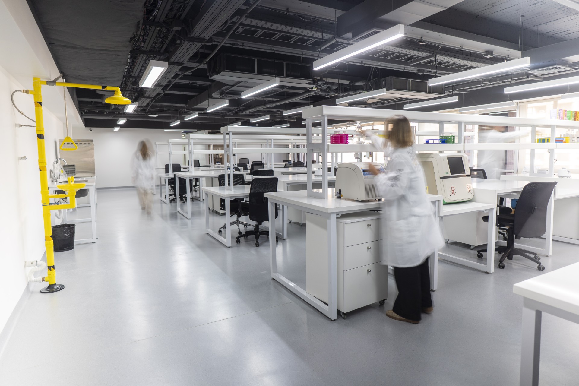 Head of Growth & Revenue – Startuplab.01